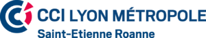 De Toute Beauté logo CCI Lyon